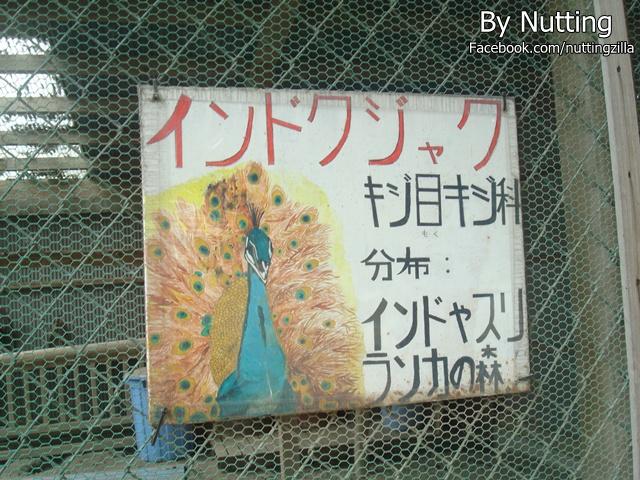 DSC04032.JPG
